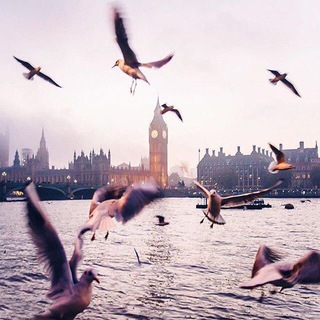 Логотип телеграм канала @dasbudetsa — Сбудется 🤞✨💫