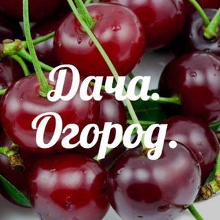 Логотип телеграм канала @dasha_ogorod — Дача. Огород🍒