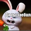 Логотип телеграм канала @dasha_adison — Dasha_Adison's Diary