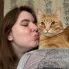 Логотип телеграм канала @dashaandrizhik — Будни с рыжим котом