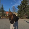 Логотип телеграм канала @dashkinsssxxx — dashkinss❤️‍🩹