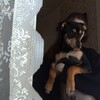 Логотип телеграм канала @dashswwww — 🖤D&E🐶