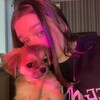 Логотип телеграм канала @dashushriba — медошенка!
