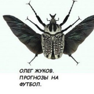 Логотип телеграм канала @dasss10tot — Прогнозы на футбол