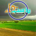 Logo del canale telegramma dastja1395 - دستجاء چه خبر😍