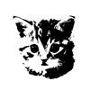 Логотип телеграм канала @daswqxxx — 🐈‍⬛