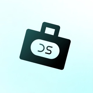 Логотип телеграм канала @data_secrets_career — Data Secrets | Карьера