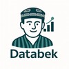 Telegram kanalining logotibi databek — Databek