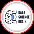 Logo saluran telegram datasciencebrain — Data Science Brain