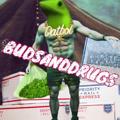 Logo saluran telegram datboismenu — BUDSANDDRUGS OFFICAL 🐸