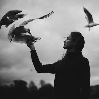 Логотип телеграм канала @davaipomolchim — 🖤🅻🅴🆃'🆂 🆃🅰🅻🅺🖤