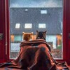 Логотип телеграм канала @davayka_mi — Давай