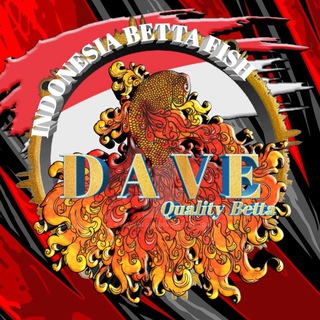 Logo de la chaîne télégraphique davebettatnj - DAVE QUALITY BETTA / INDONESIAN BETTA BREEDER