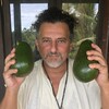 Logo of telegram channel davidavocadowolfe — David Avocado Wolfe