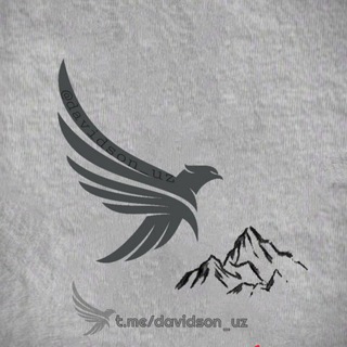 Логотип телеграм канала @davidson_uz — davidson_uz