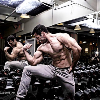 Логотип телеграм канала @davryuha — FitnesJournal