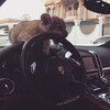Логотип телеграм канала @davtyaann77 — davtyan77