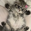 Логотип телеграм канала @dayroxton — drx