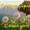 Логотип телеграм канала @daywishes — Доброе утро 🌼