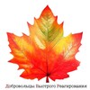 Логотип телеграм канала @dbrekb — Добровольцы Быстрого Реагирования
