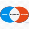 Логотип телеграм канала @dbt_for_psychologist — Навыки ДБТ для жизни