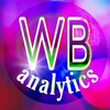 Логотип телеграм канала @dd14012012ss — WB analytics