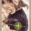 Логотип телеграм канала @dddmitrienko — ddddmitrienko
