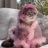 Логотип телеграм канала @ddiiisays — ddiiisays