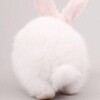 Logo of telegram channel ddjskq228oepq — 🐰🐰