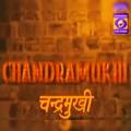 टेलीग्राम चैनल का लोगो ddnationalserials — DD National Serials