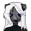 Логотип телеграм канала @ddnch1k — danch1k (18 )
