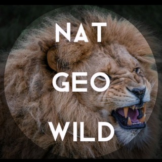 Логотип телеграм канала @deadbarkingdogs — Nat Geo Wild