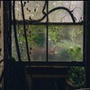 Логотип телеграм канала @deadcandance — Dog's Dreams