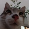 Логотип телеграм канала @deaddttime — мертвое время