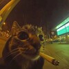 Логотип телеграм канала @deadmap_st — дедмап