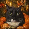Логотип телеграм канала @debilloids_channel — Ржаки и каты