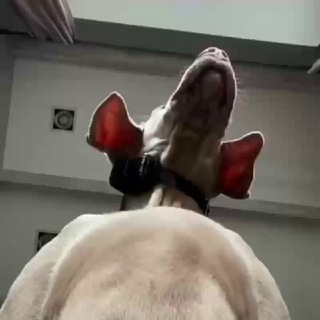 Логотип телеграм канала @debilostan — Relaxtime