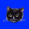 Логотип телеграм канала @decatective — Кот Детектив
