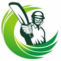 Telegram channel Decoding Cricket logo