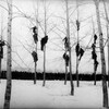 Логотип телеграм канала @decolonice — Новые дворники, сторожа и кочегары {Лиза Хереш} 18 