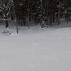 Логотип телеграм канала @ded0hot1tsavlesu — амфетаминовая каша