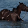 Логотип телеграм канала @ded_normisostan — Технические неполадки