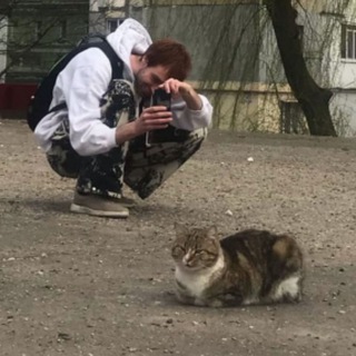Логотип телеграм канала @dedadom — Дом деда