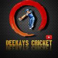 Logo saluran telegram deekays11 — Deekays Cricket