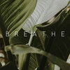 Logo of telegram channel deepbraethe — Deepbreath