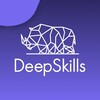 Логотип телеграм канала @deepskills_ru — DeepSkills