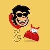 Logo of telegram channel defiapegems — DefiApeCalls 📈🦍☎️