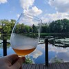 Логотип телеграм канала @degustator_pro — Не пью, а дегустирую
