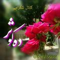لوگوی کانال تلگرام dehkoosar — کانال رسمی ده کوثرdehkoosar@