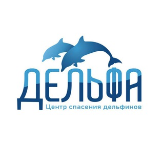 Логотип телеграм канала @delfacenter — Delfacenter